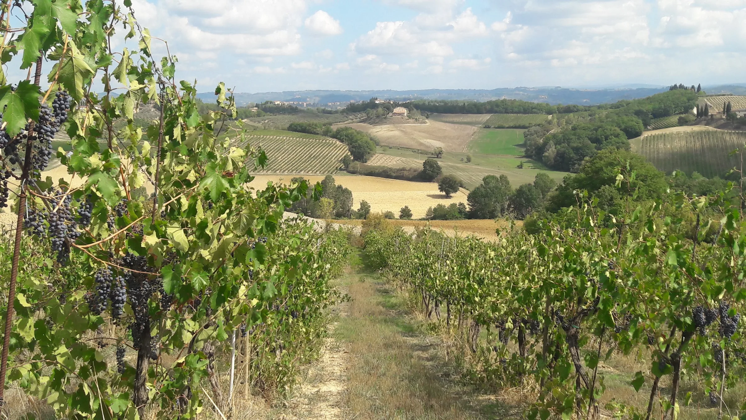 Agriturismo Il Monchino photo 5