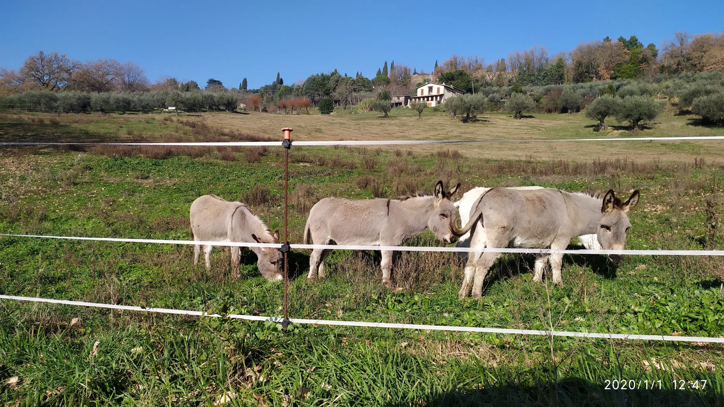 Farmhouse San Michele Arcangelo photo 2