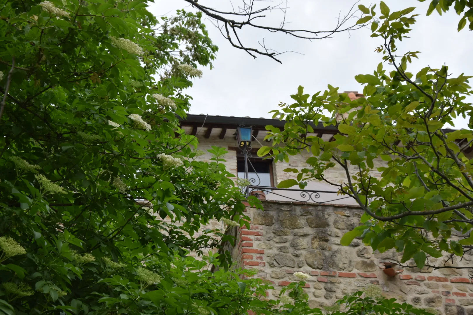 Agriturismo Il Poggio degli Scoiattoli photo 4