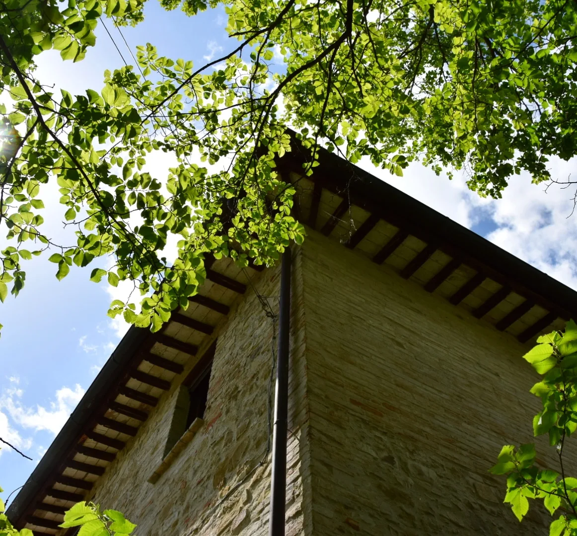 Agriturismo Il Poggio degli Scoiattoli photo 5