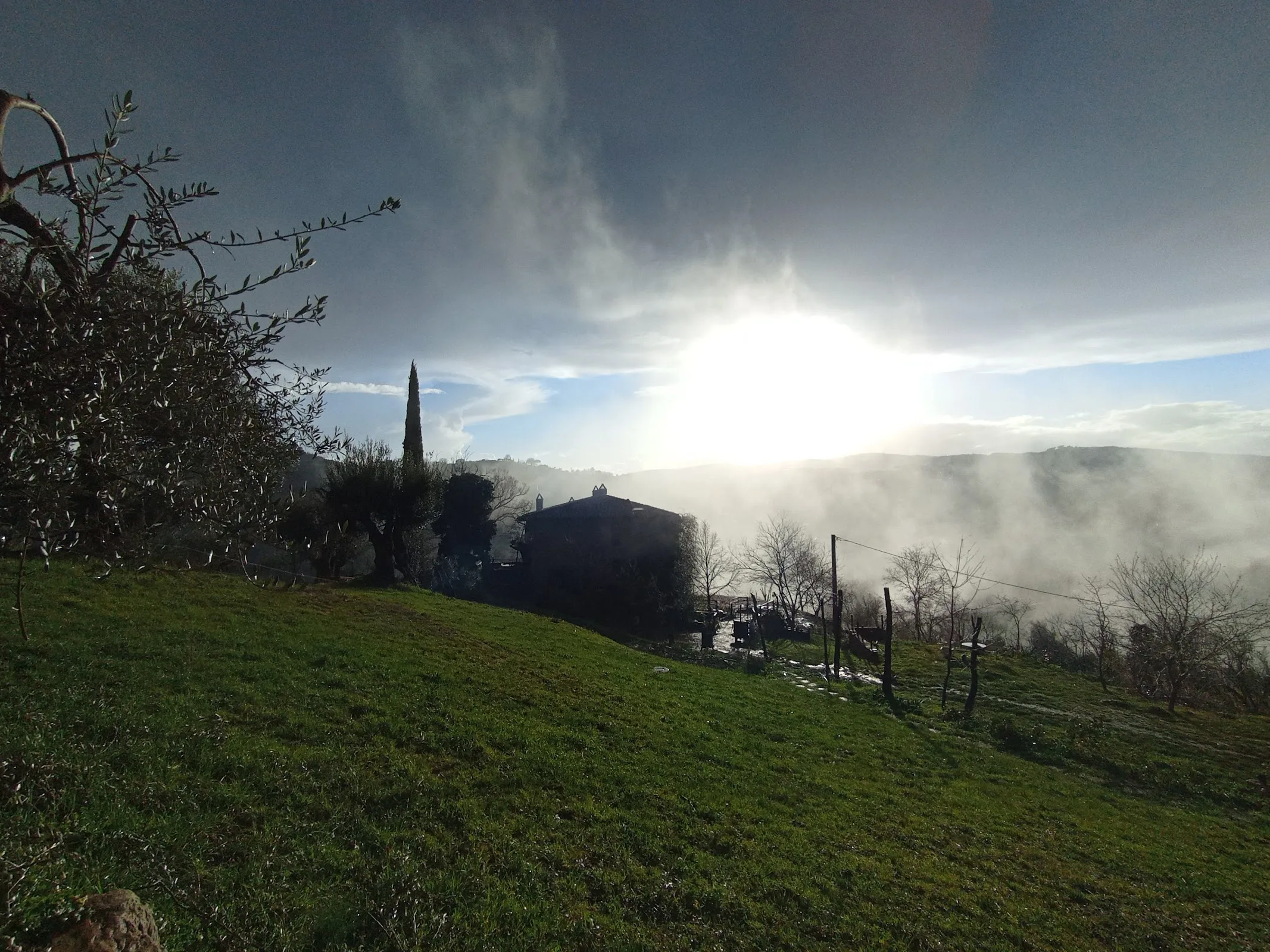 Agriturismo Il Poggio degli Scoiattoli photo 6