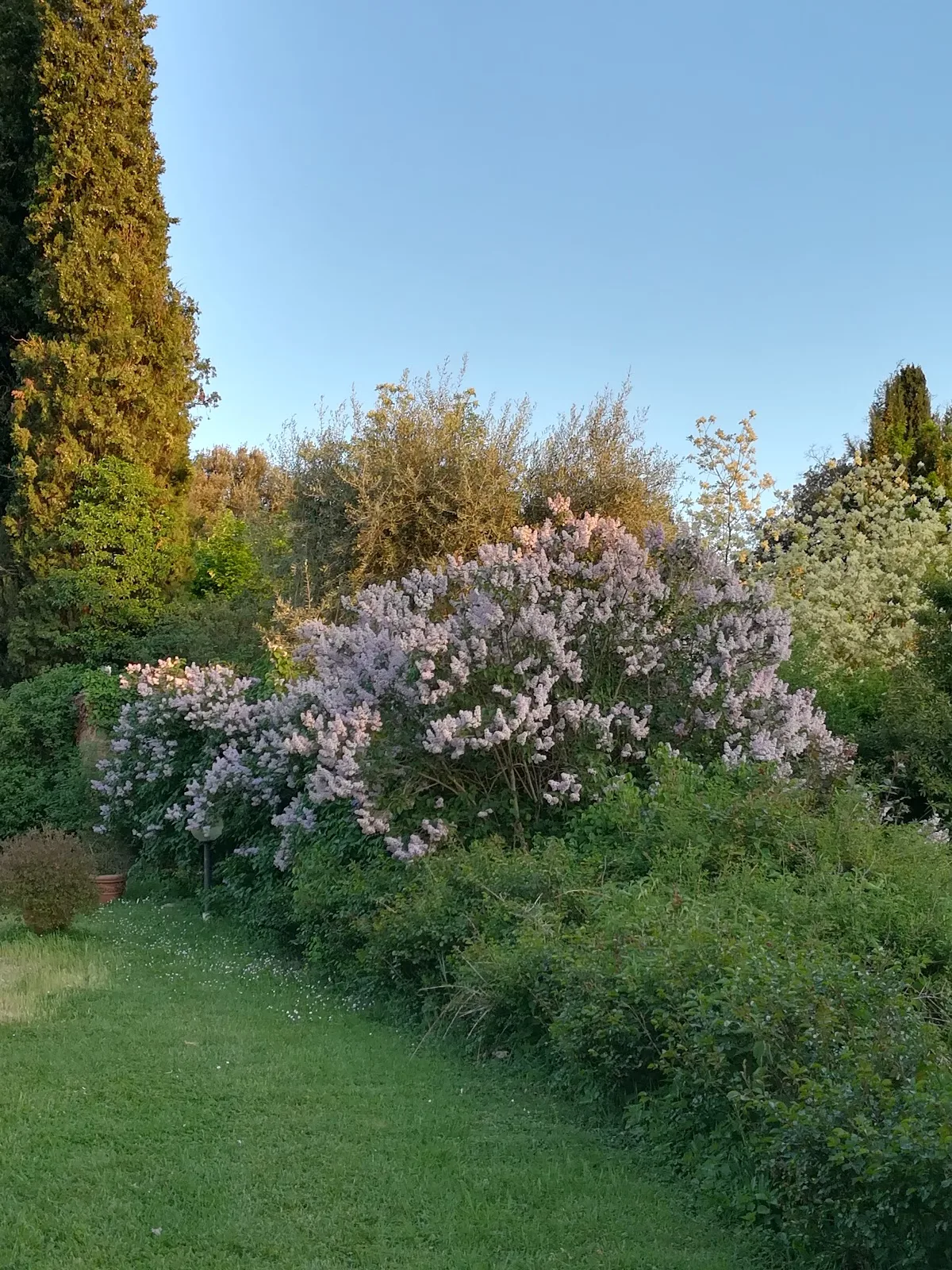 Location de mas à Perugia — photo 3