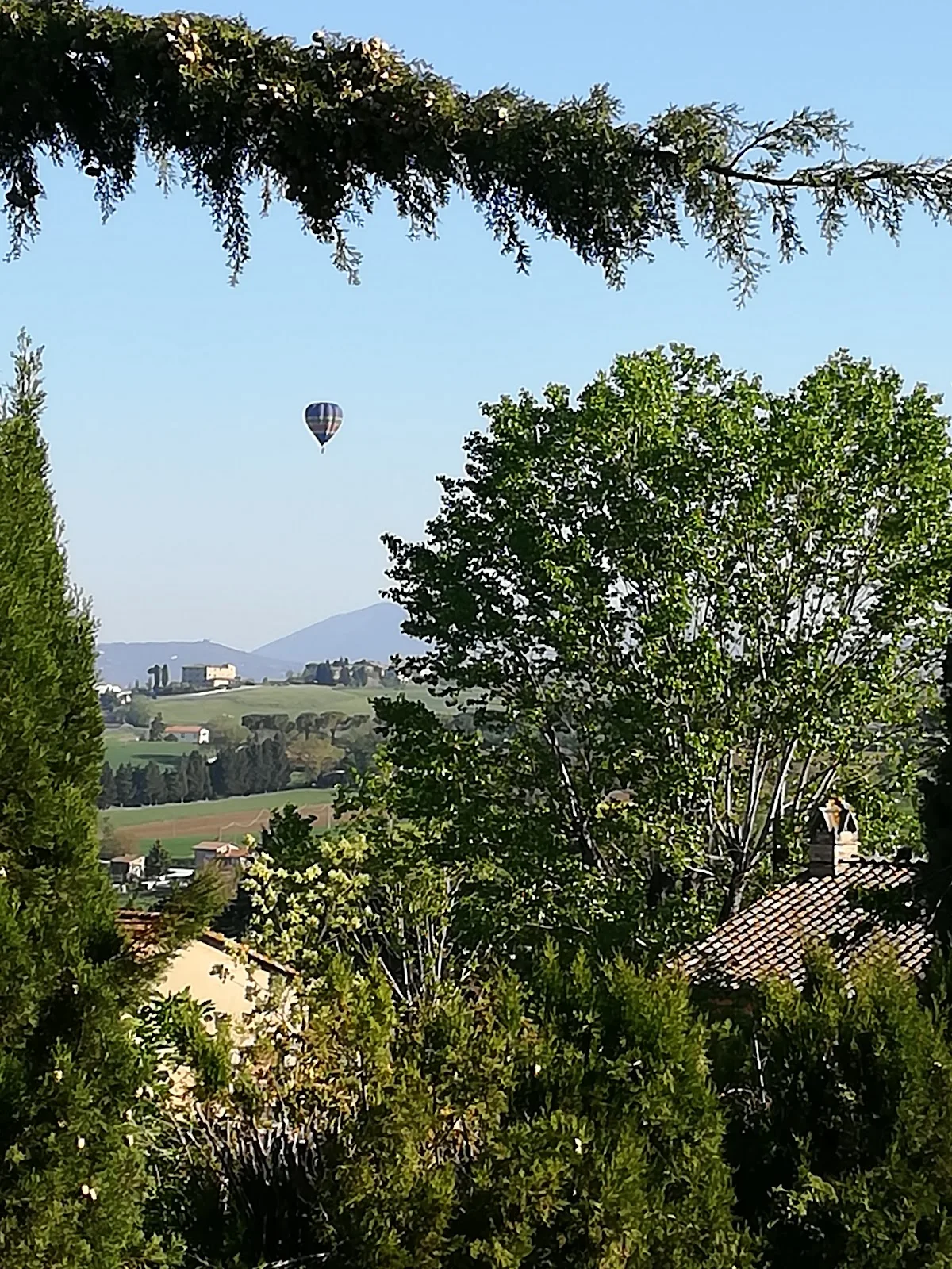 Agriturismo Fattoria Dei Comignoli photo 4