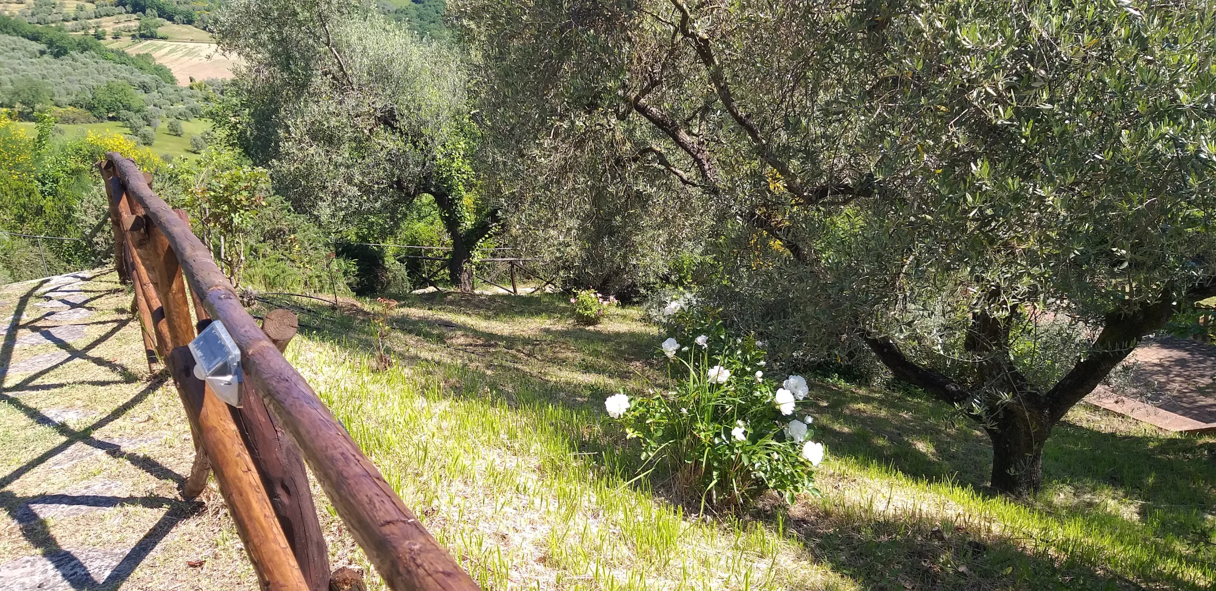Agriturismo Casamanza photo 3