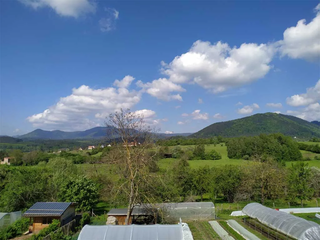 Le Clos du Haslach photo 3