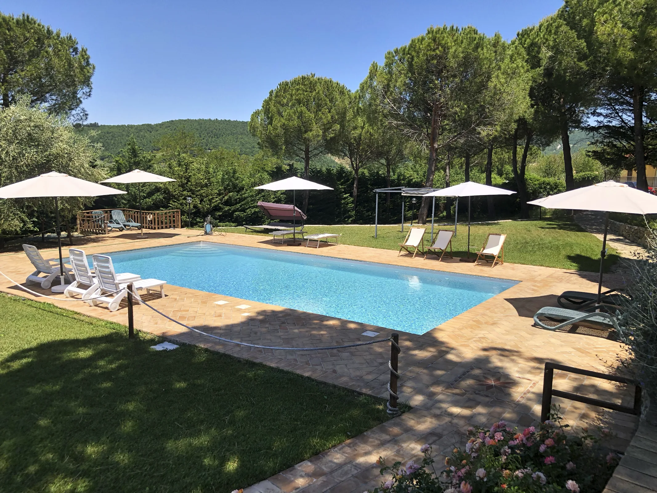 Agriturismo con PISCINA "Sotto il Colle" - PRODUZIONE olio extavergine d'oliva - CEREALI e SPEZIE - Assisi photo 3