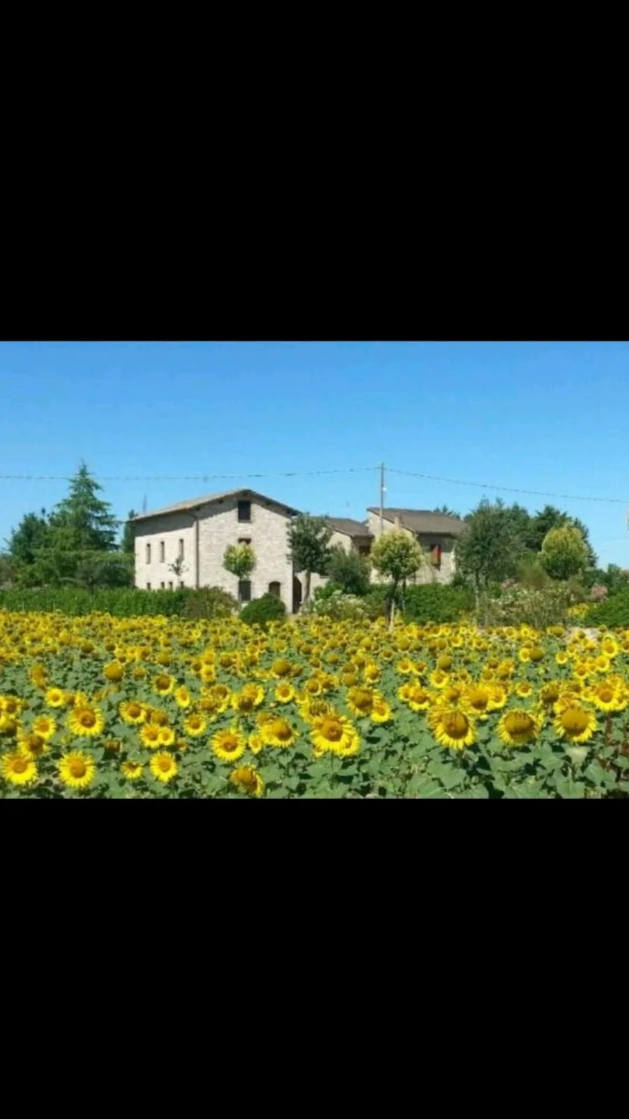 Il Sagrato di Assisi photo 3