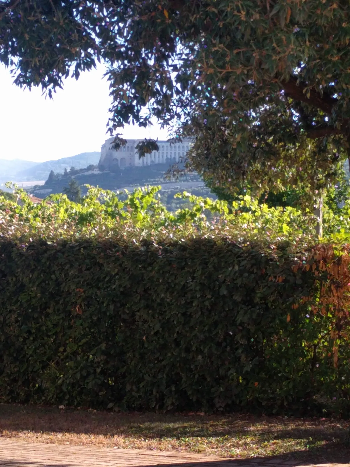 Location de mas à Assisi — photo 3