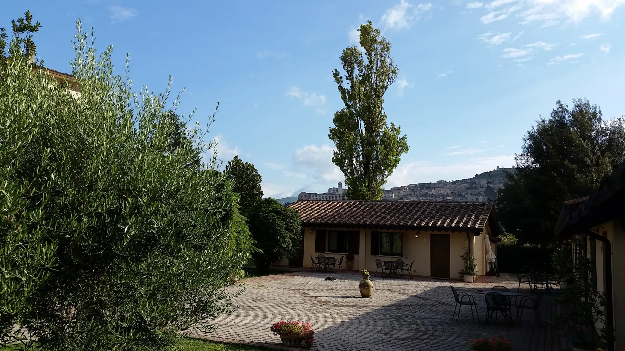 Il Podere del Falco - Agriturismo Assisi photo 4