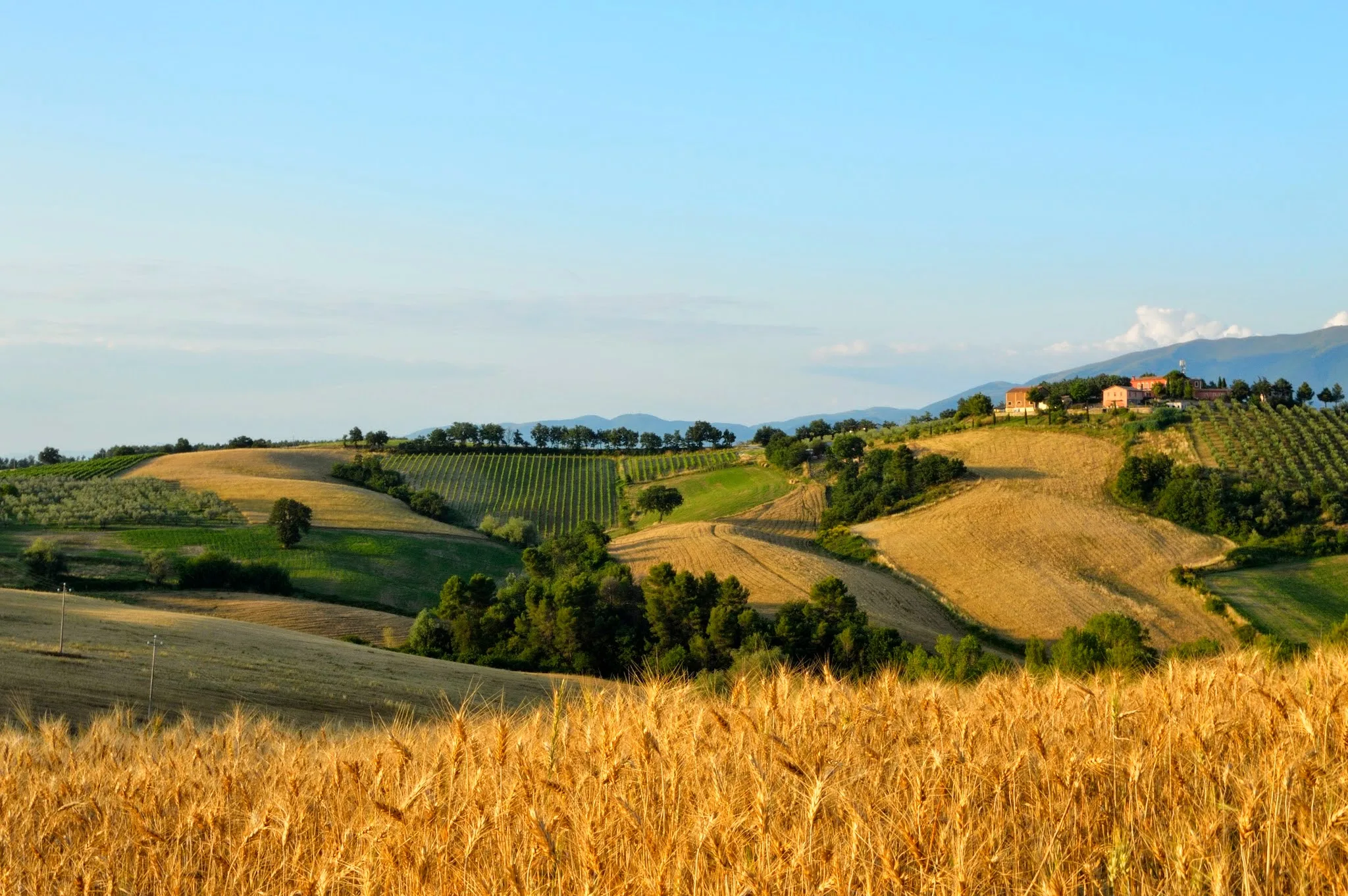 Agriturismo Rivoli photo 4