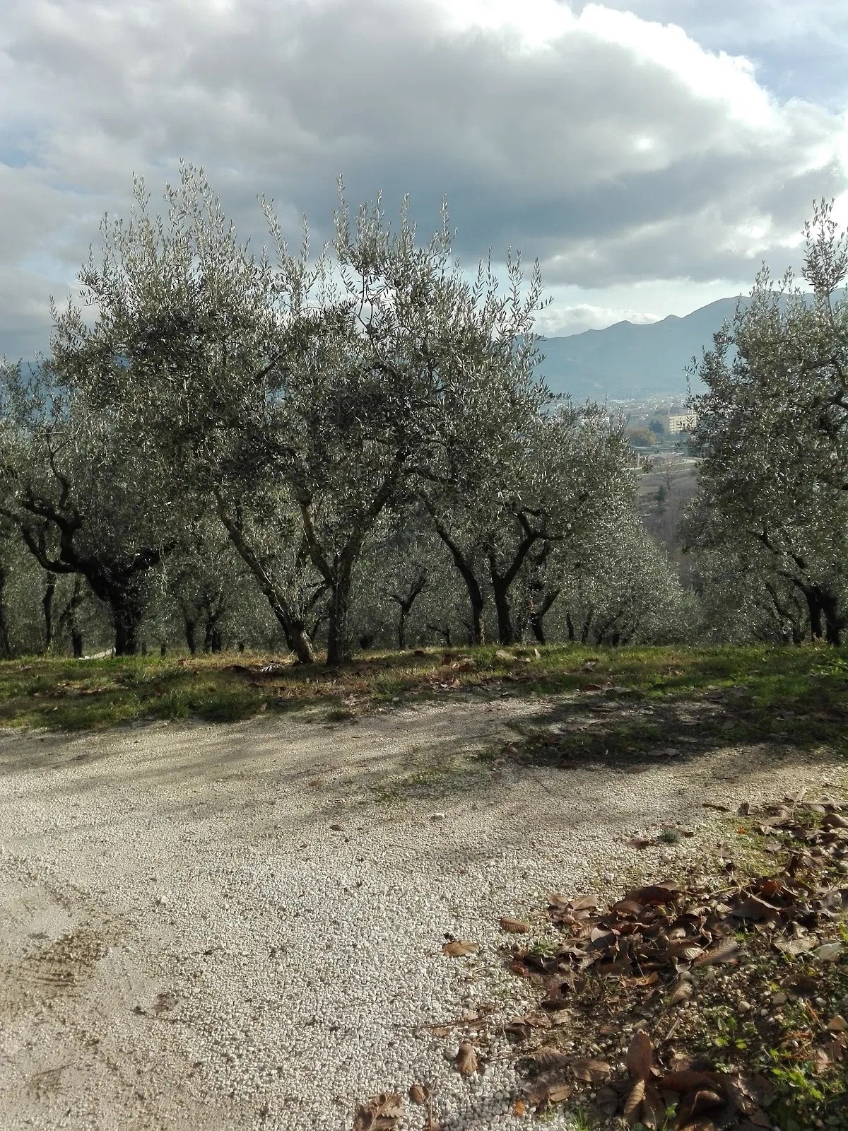 Agriturismo Il Collicello di Antonelli Gian Paolo photo 5
