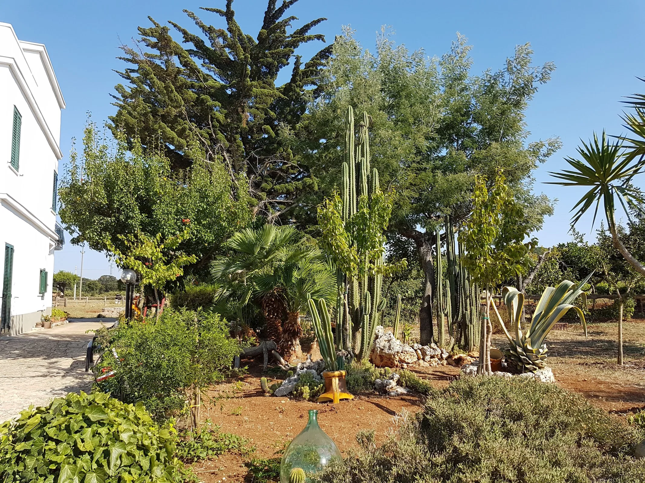 Location de provencal farmhouse à Città Metropolitana di Bari — photo 2