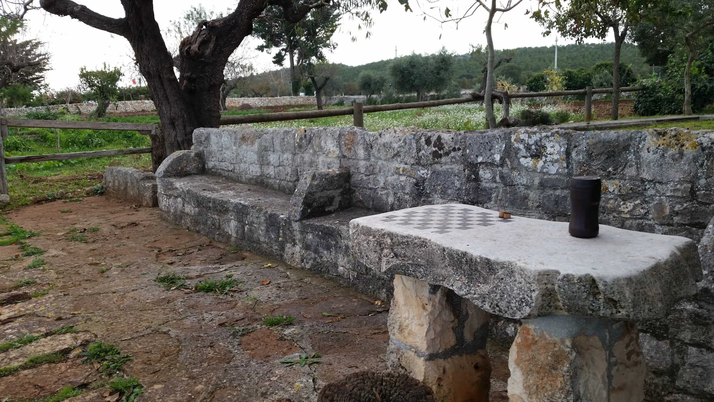 Location de provencal farmhouse à Città Metropolitana di Bari — photo 3