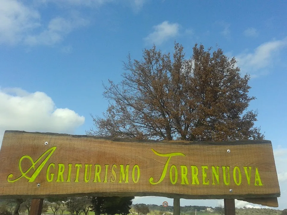 Agriturismo Torrenuova photo 3