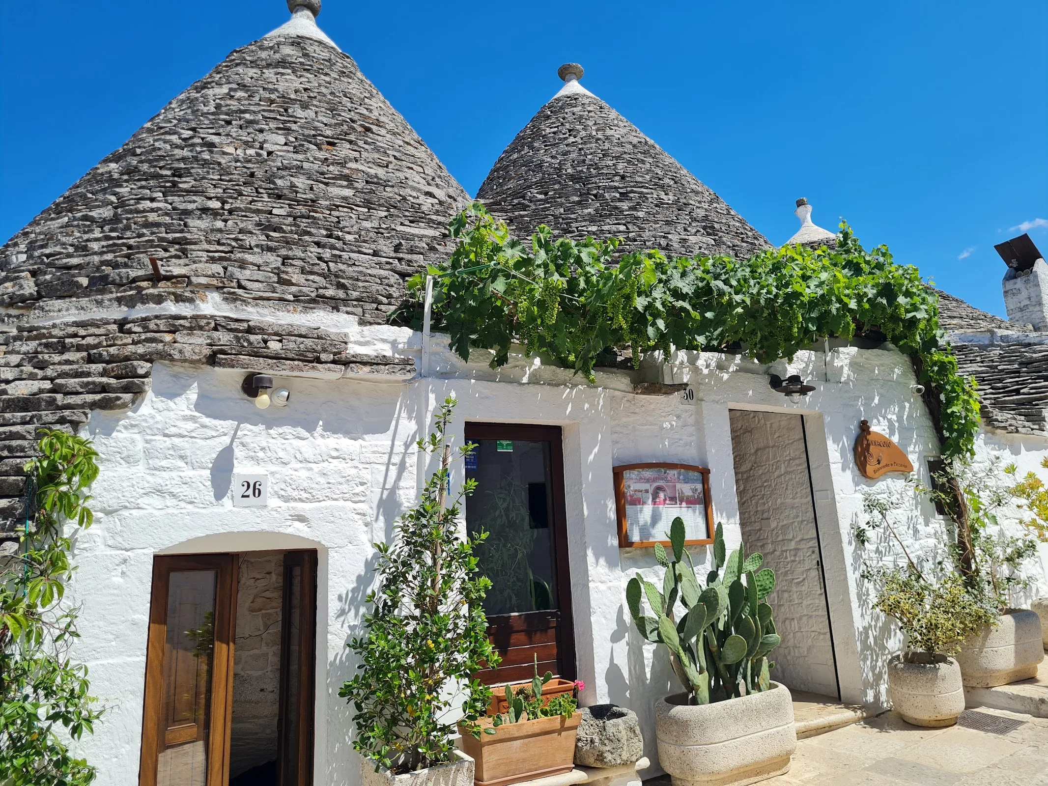 Trulli Panoramici photo 5