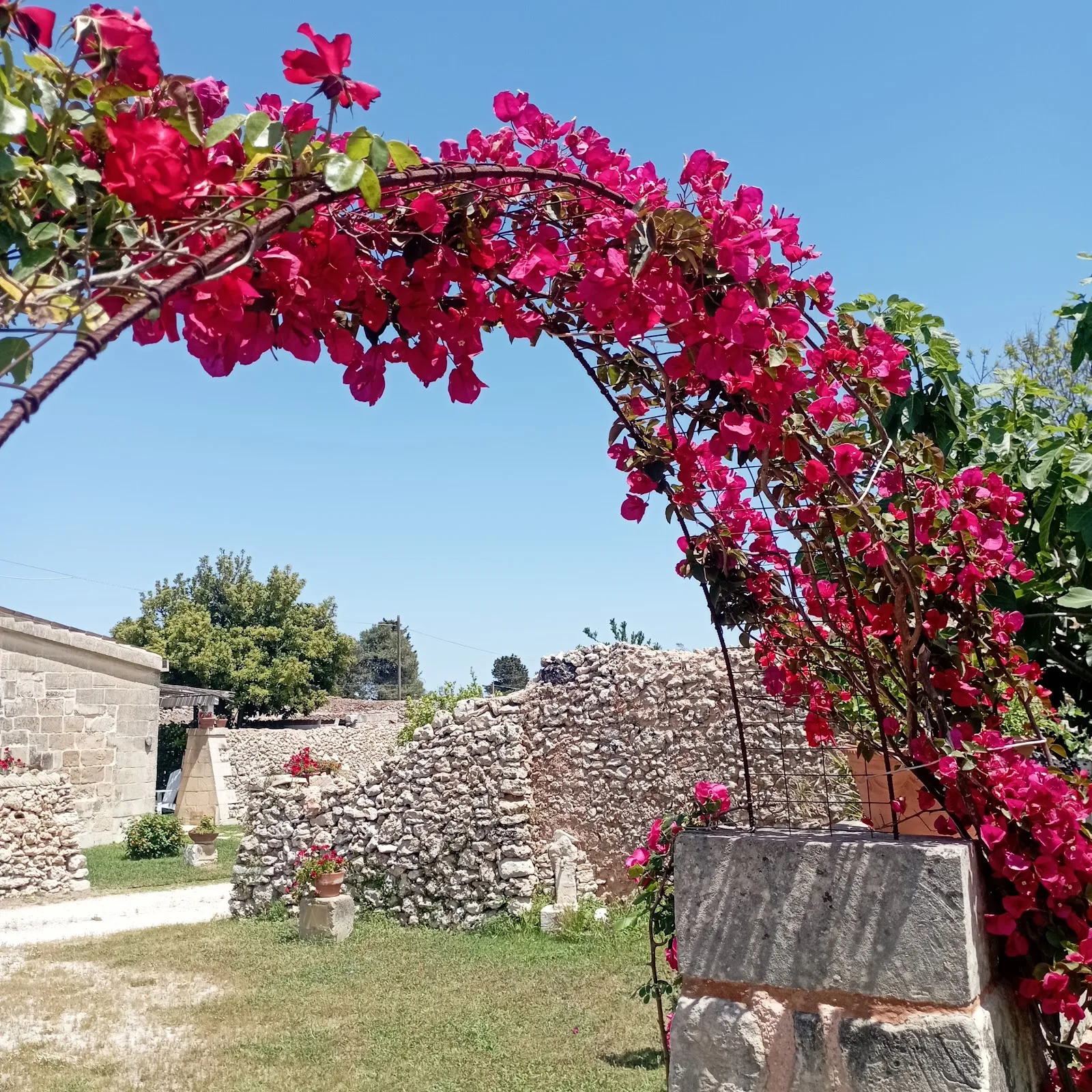 Masseria Salentina Costarella photo 4