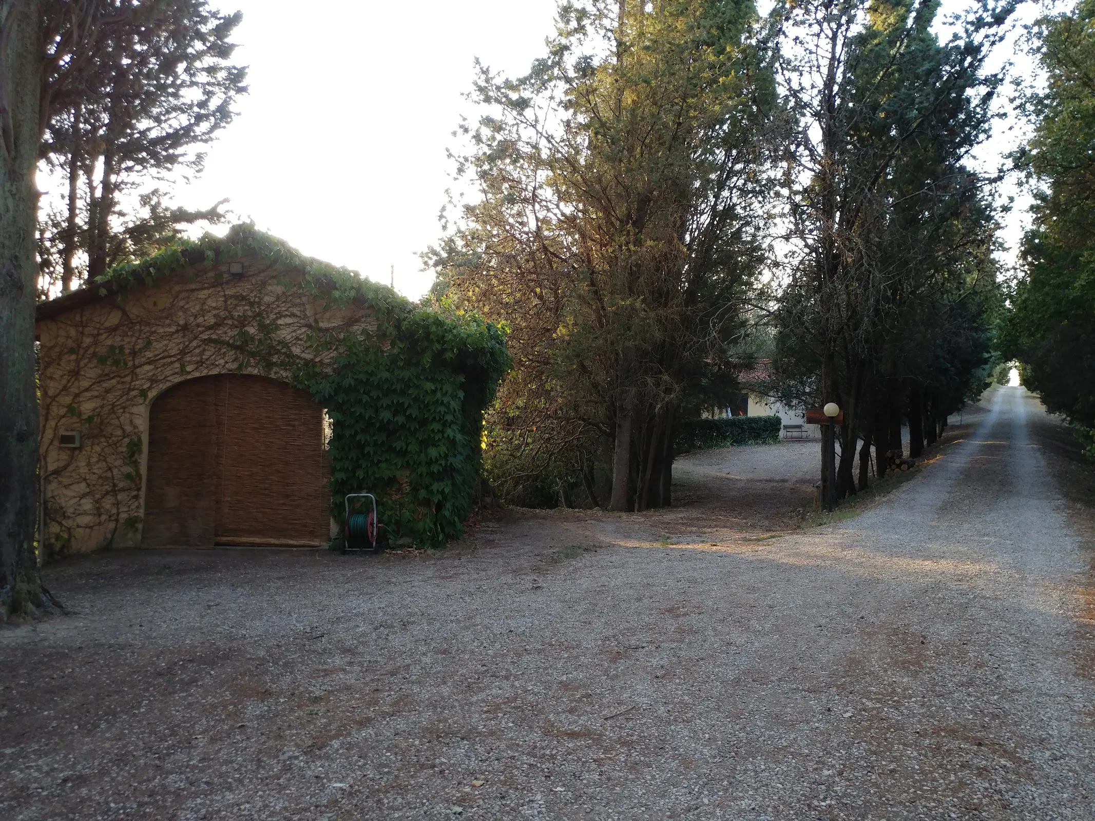 Agriturismo Bellavista photo 6