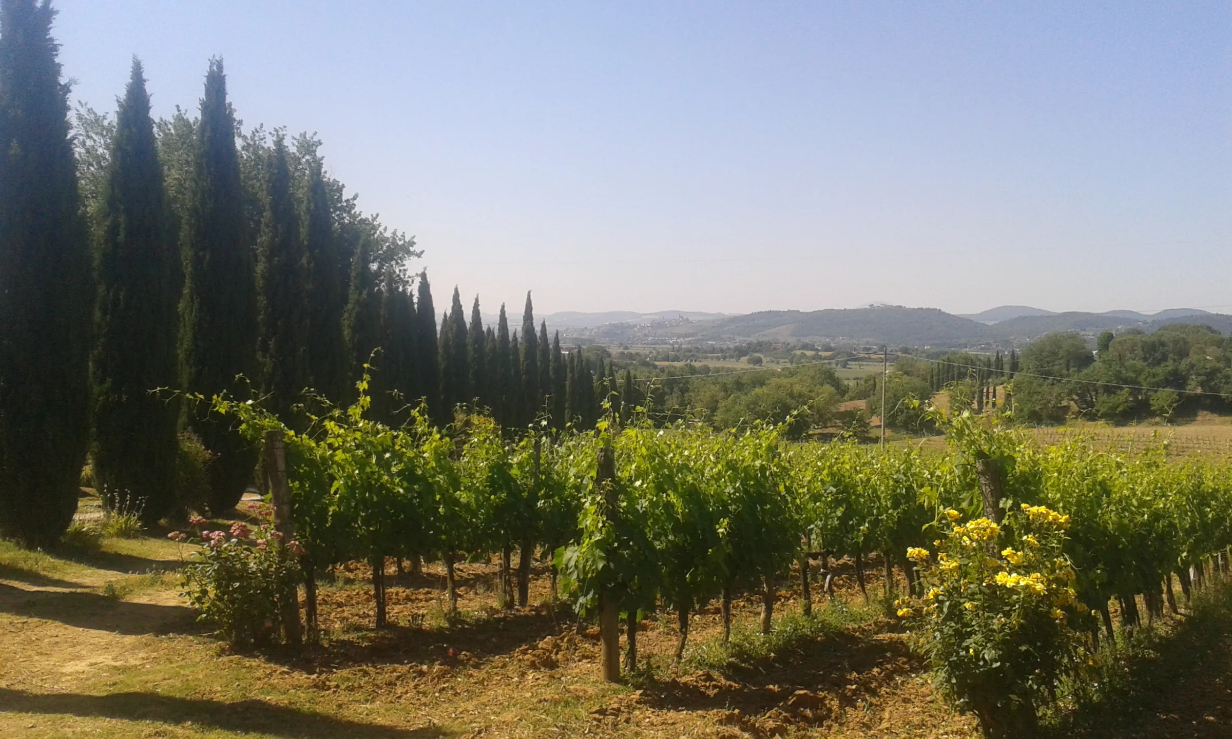 Agrotorismo Podere La Villeta photo 4