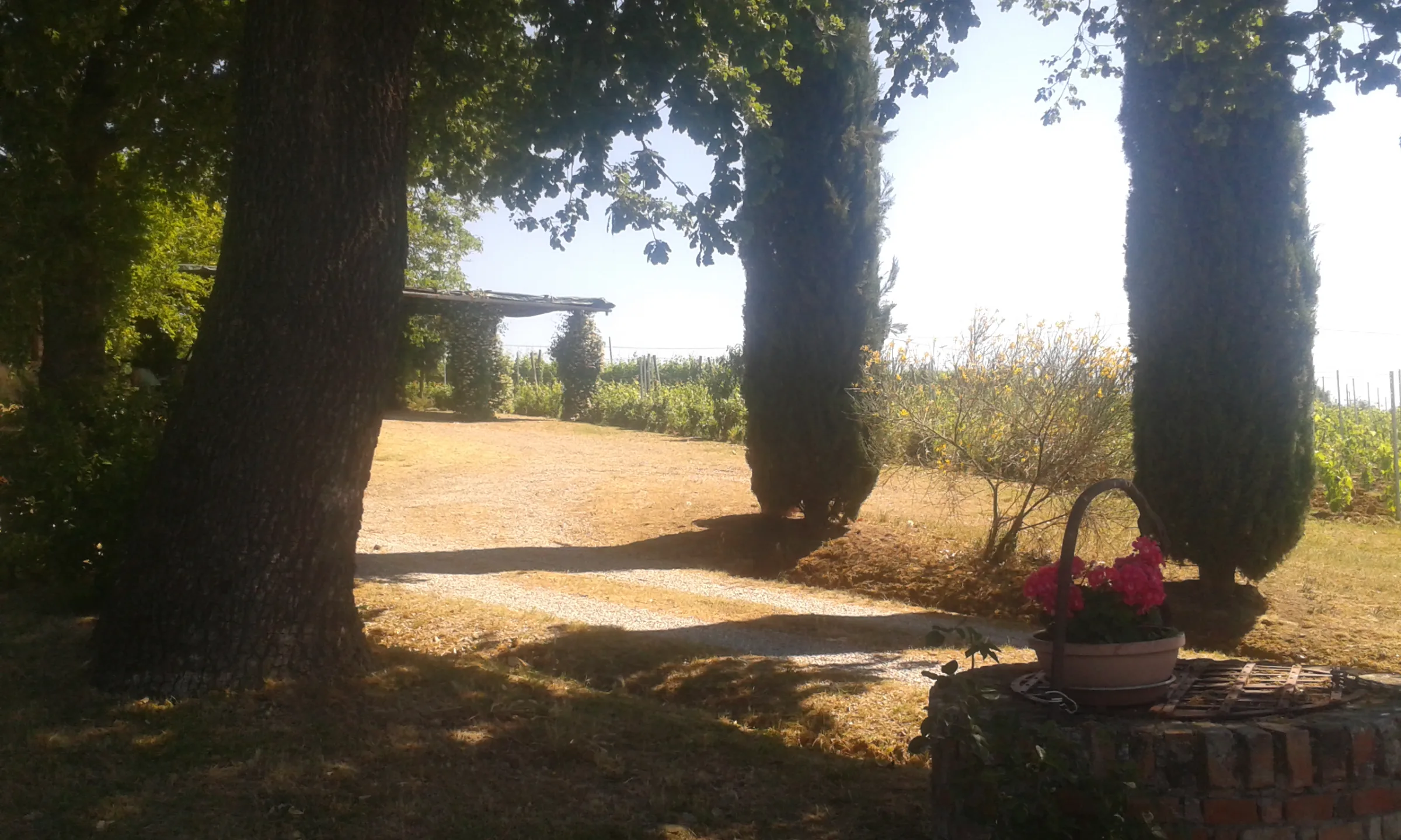 Agrotorismo Podere La Villeta photo 6