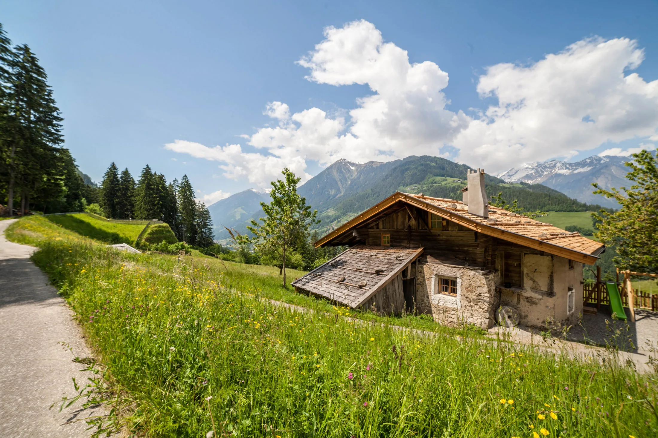 Schnitzer`s Ferienhaisl photo 4