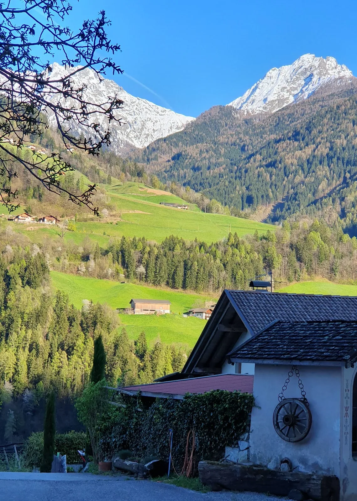 Ebnerhof photo 2