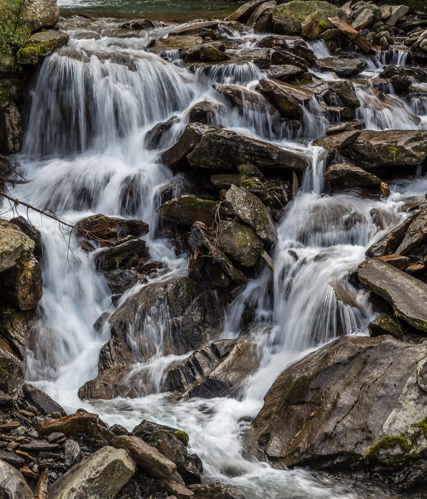 Lazins photo 2