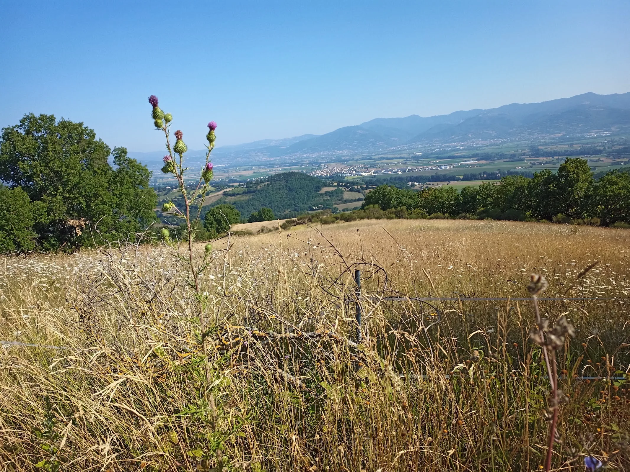 Agriturismo Casale Le Burgne photo 4
