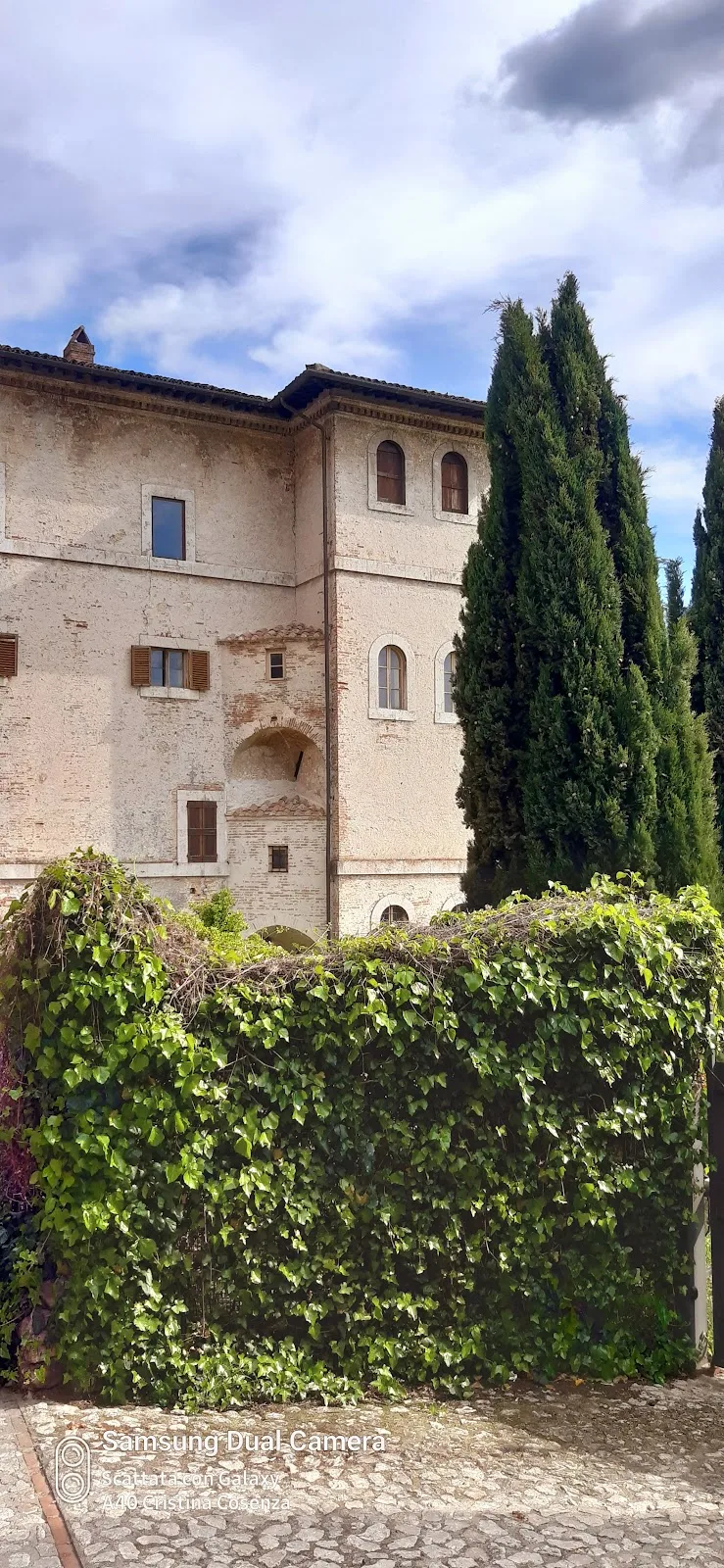 Palazzo Farrattini photo 2