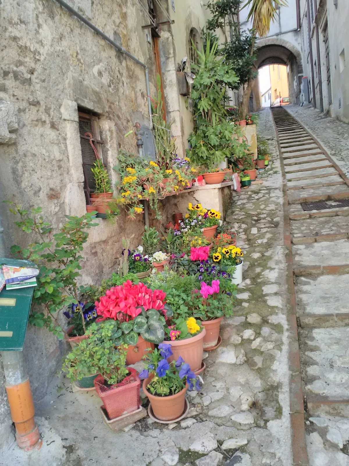 Palazzo Farrattini photo 4
