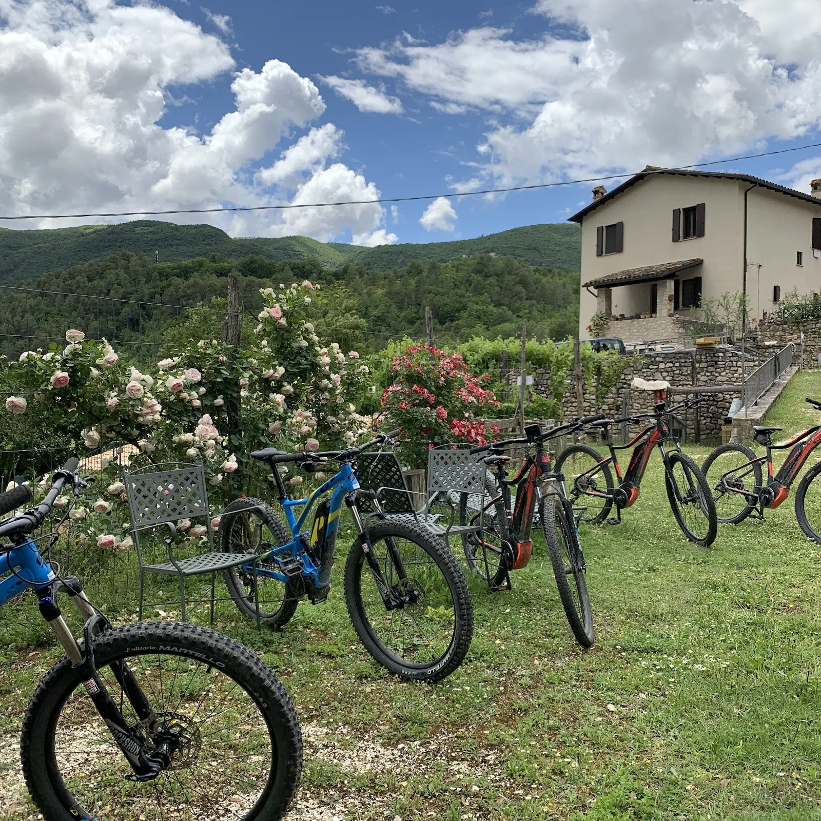 Agriturismo Zafferano e Dintorni photo 4