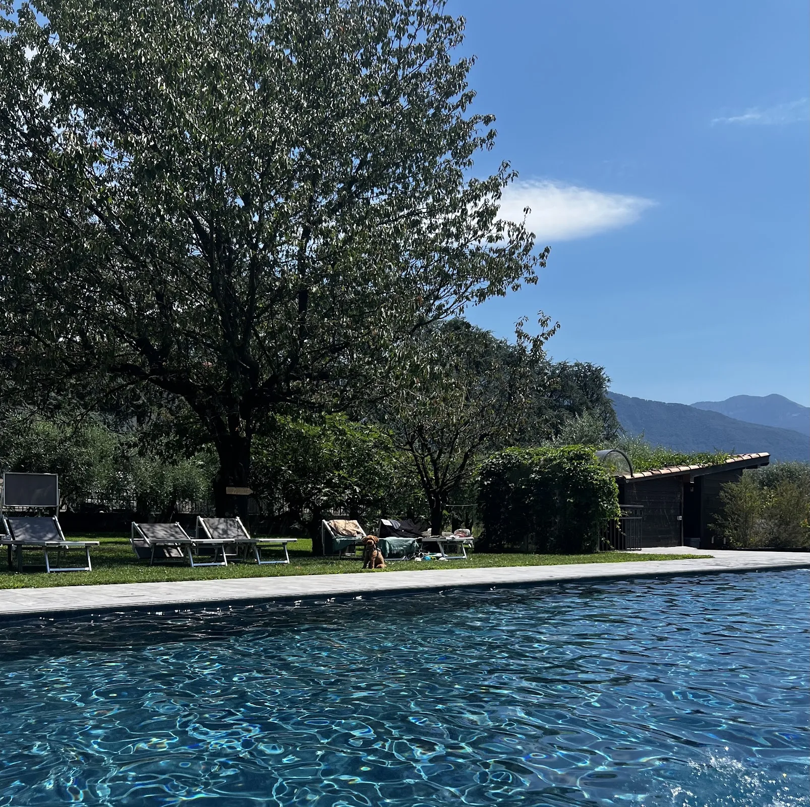 Location de provencal farmhouse à Gravedona — photo 3