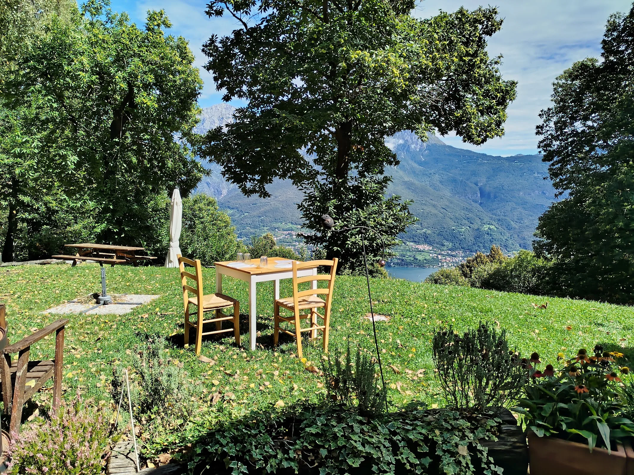 Azienda Agricola Camanin photo 4
