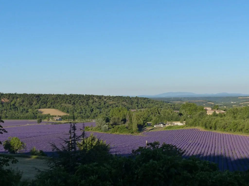 La Ferme du Petit Ségriès photo 2