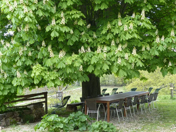 La Ferme du Petit Ségriès photo 5