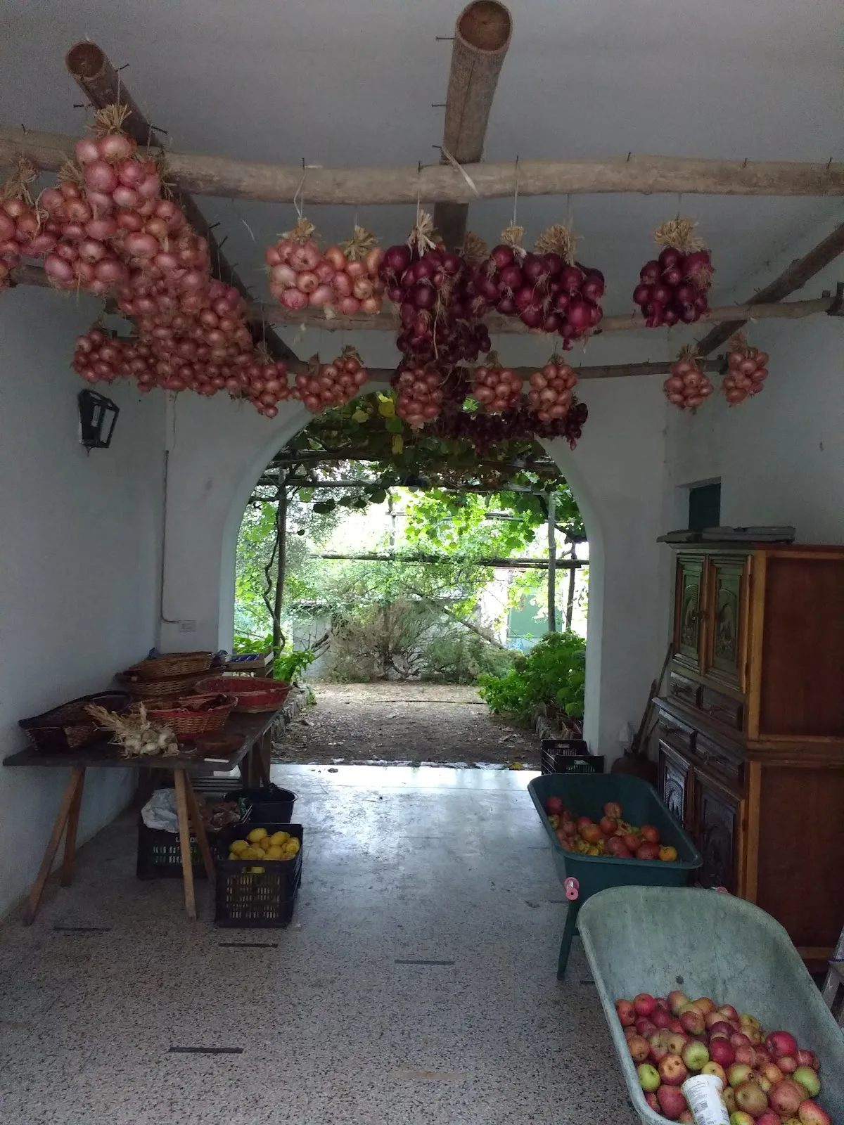 Agriturismo e Azienda Agricola Le Tore photo 4