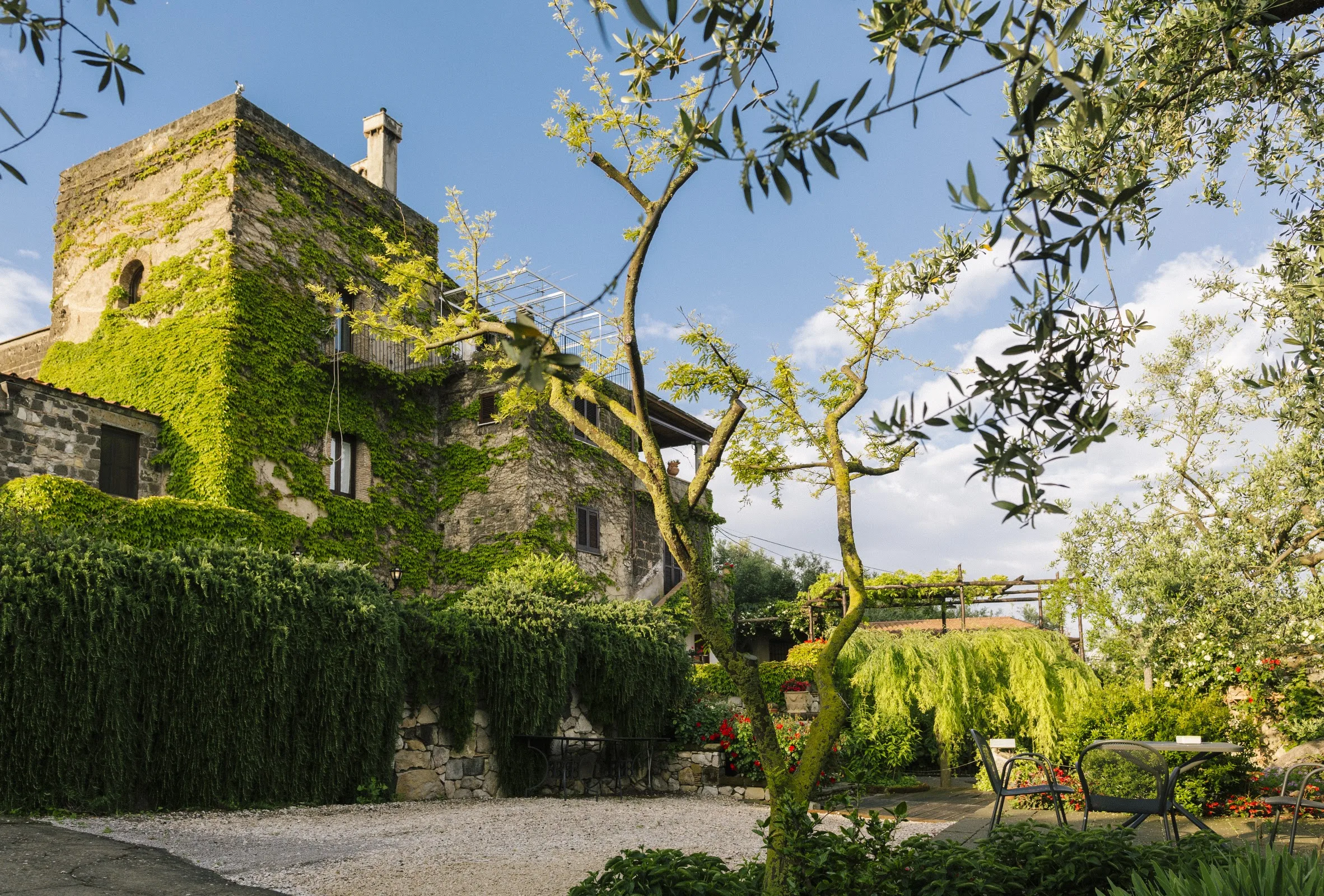 Torre Cangiani - Farm and Organic Farming