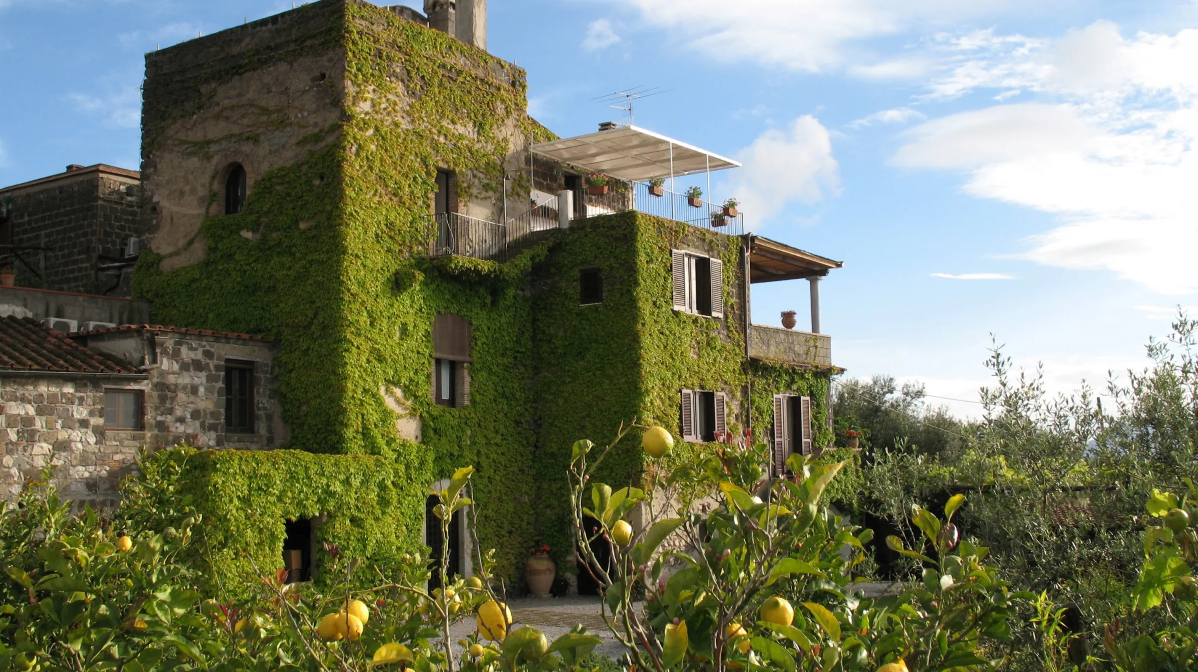 Torre Cangiani - Farm and Organic Farming photo 4