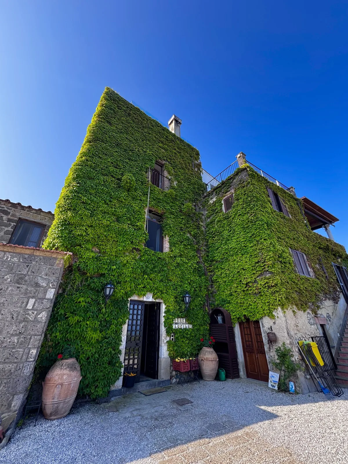 Torre Cangiani - Farm and Organic Farming photo 5