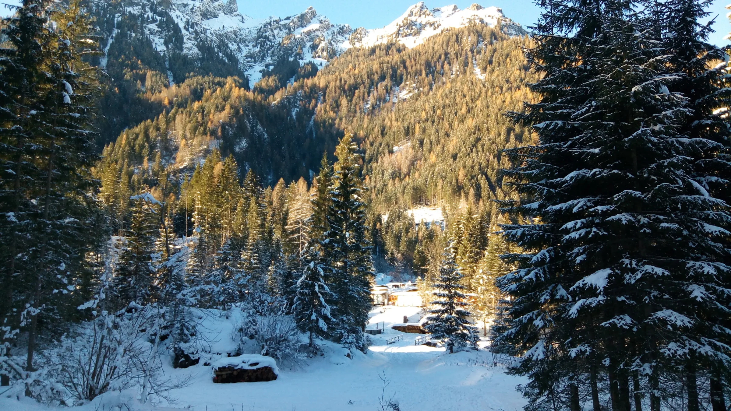 Camping Lastei photo 6