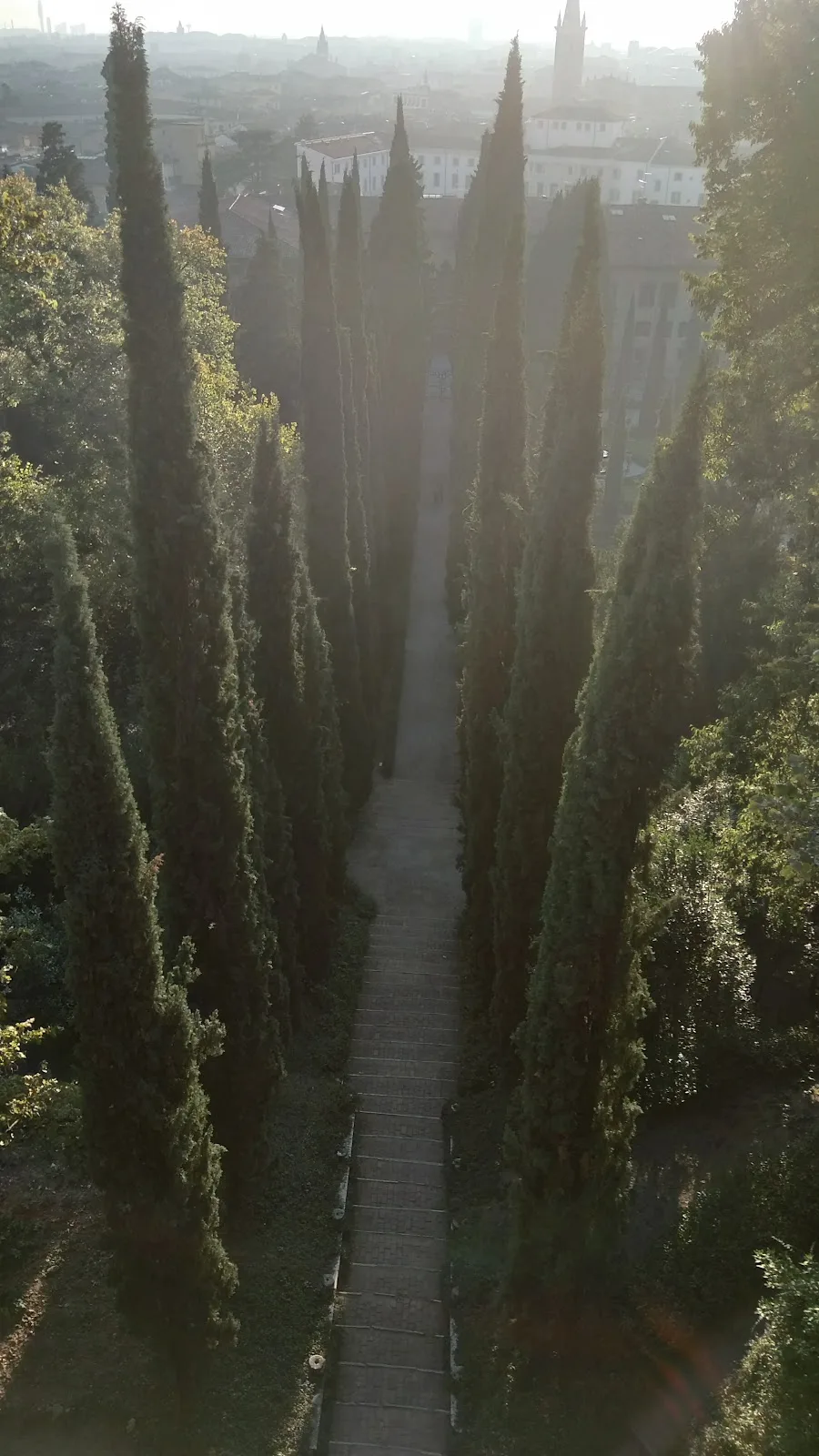 Ai Giardini Giusti photo 6
