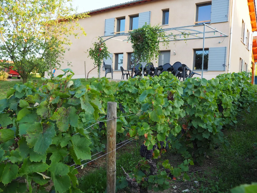 Gite de l'Amandier photo 2