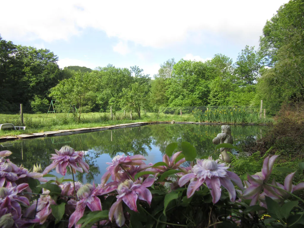 Moulin du Barthas photo 5