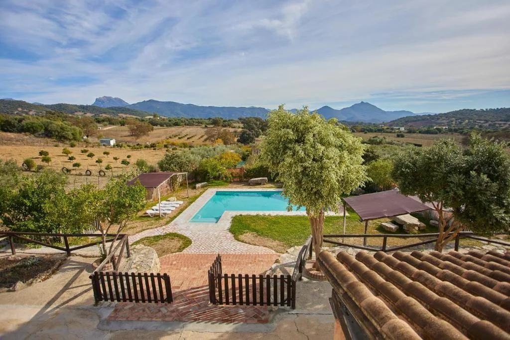 CASA RURAL " LOS CUATRO OLIVOS" photo 4