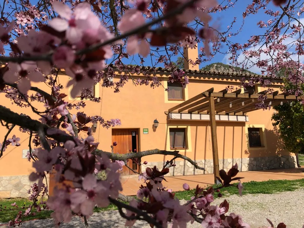 La Casa del Molí photo 6