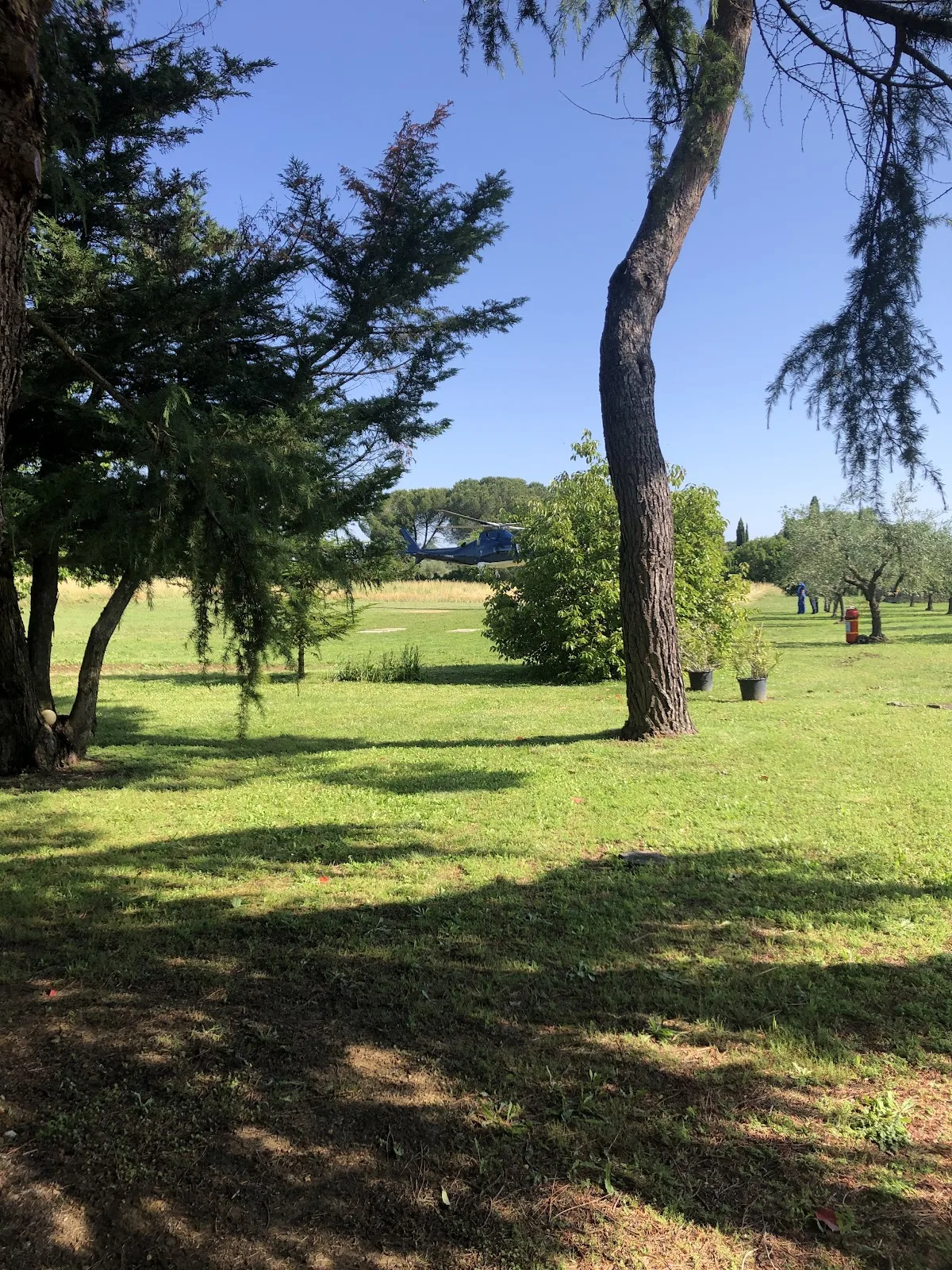 Agriturismo Michelangelo photo 3