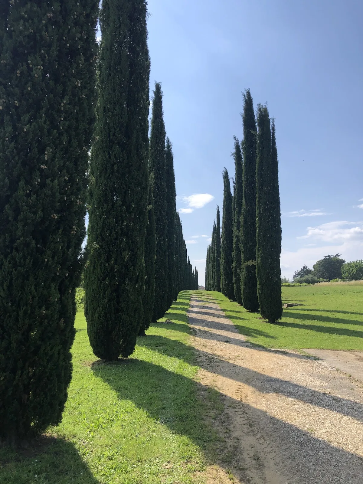 Agriturismo Michelangelo photo 4