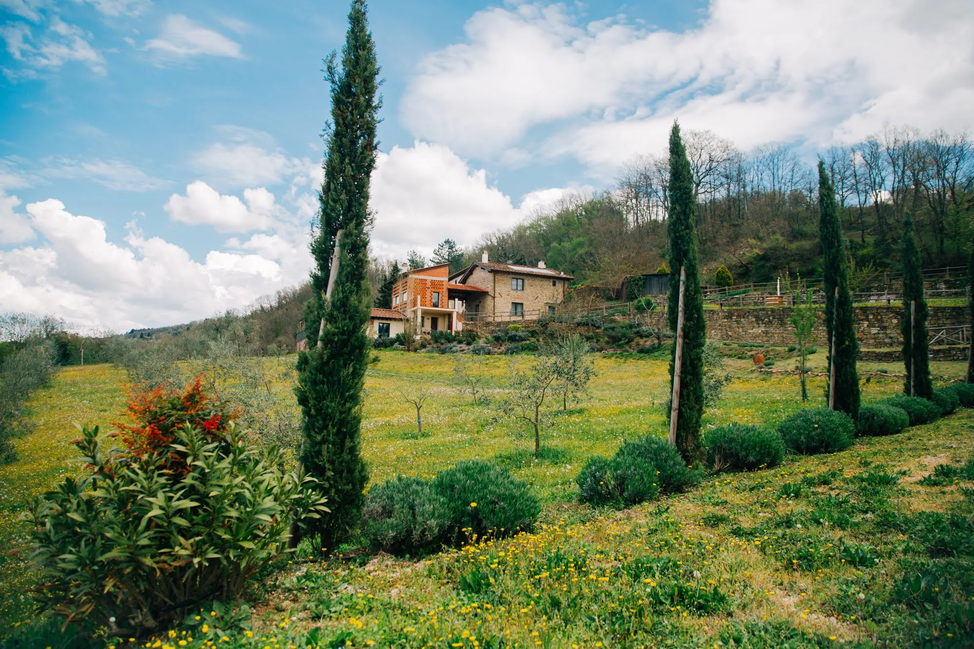 Agriturismo La Fontaccia photo 5