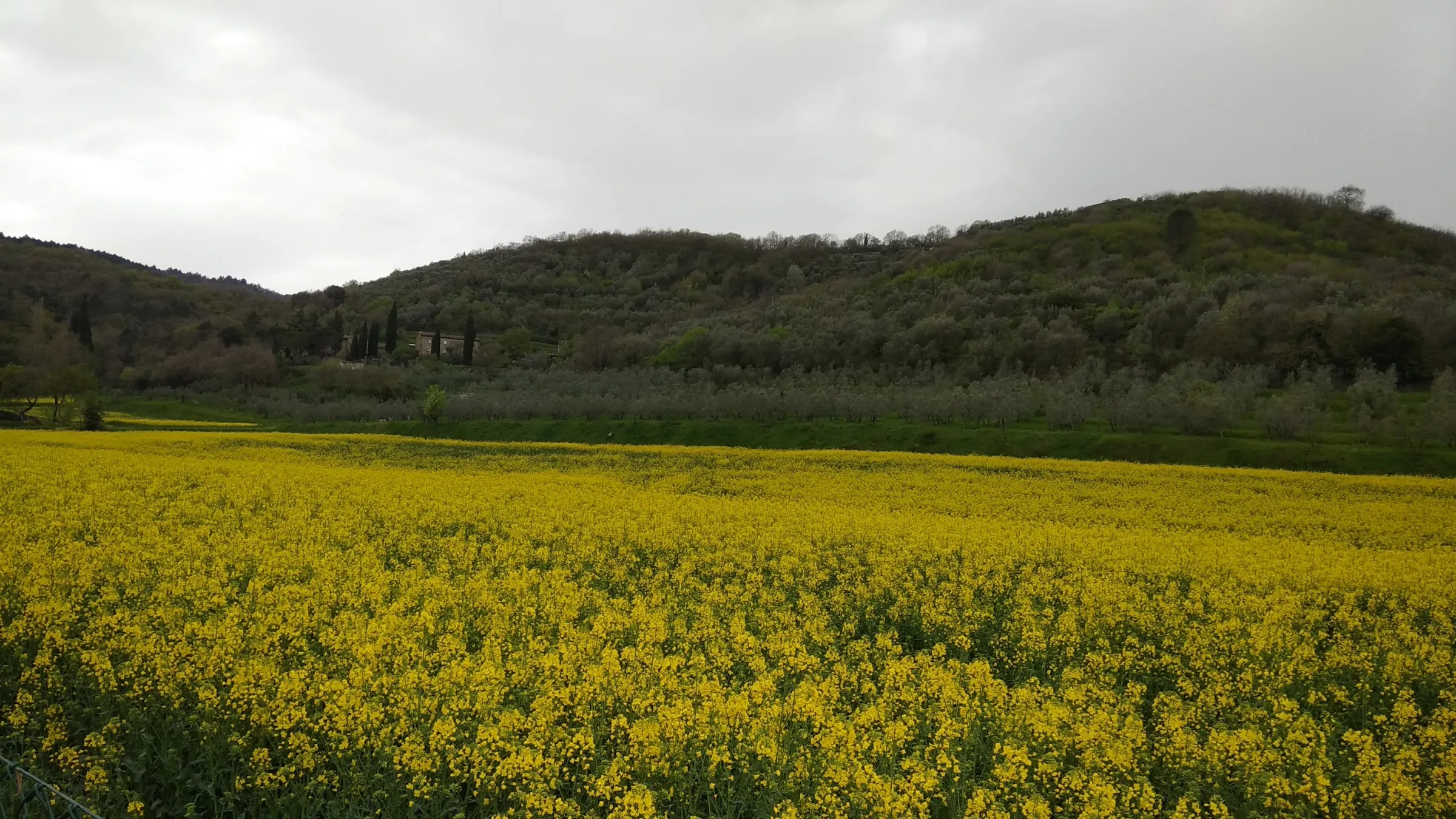 Farmhouse Colle photo 2