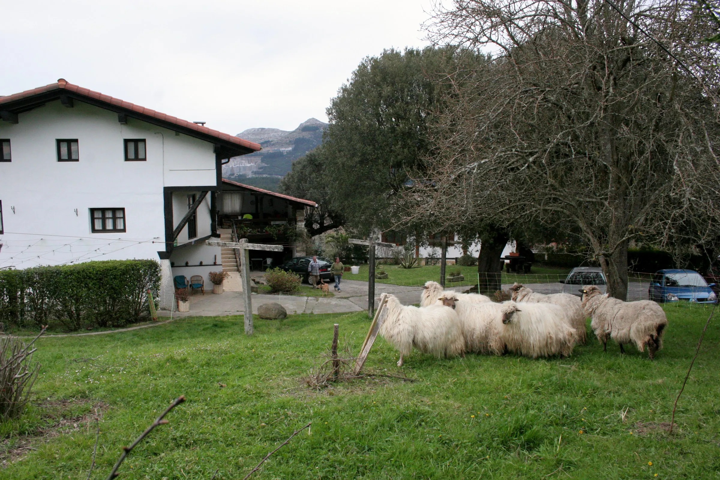 Casa Rural Monte Baserria photo 3