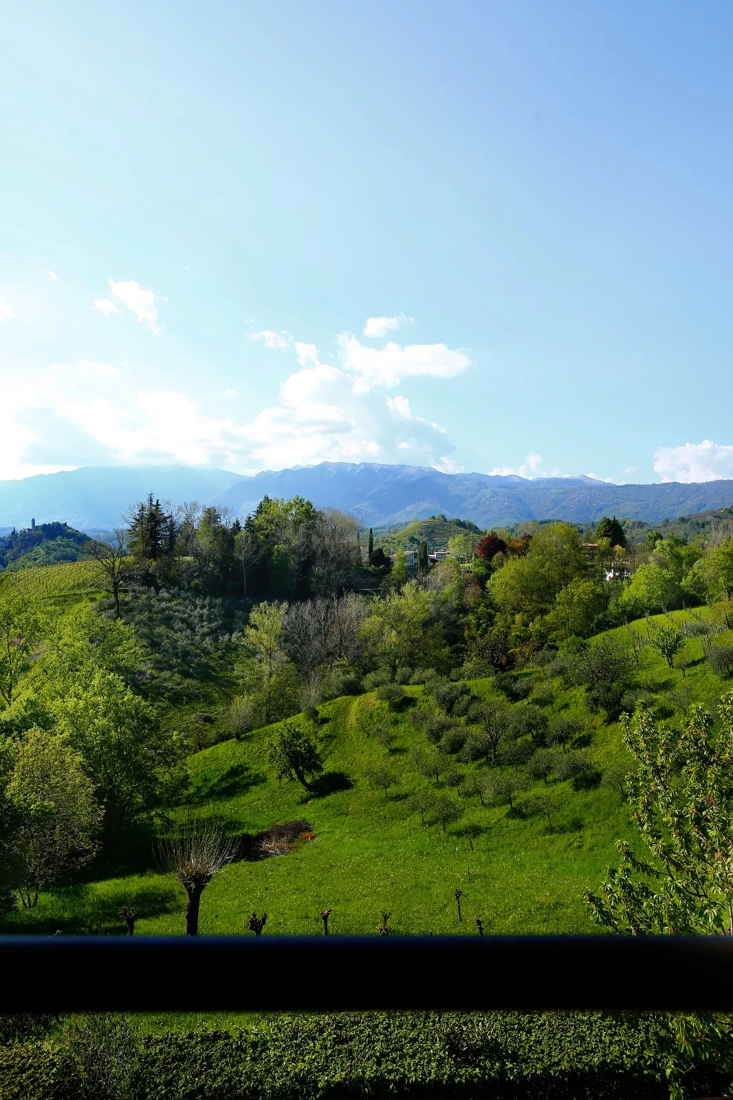 Agriturismo Norah's Hill photo 4
